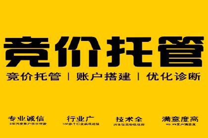 成功案例：SEM竞价托管的策略与效果